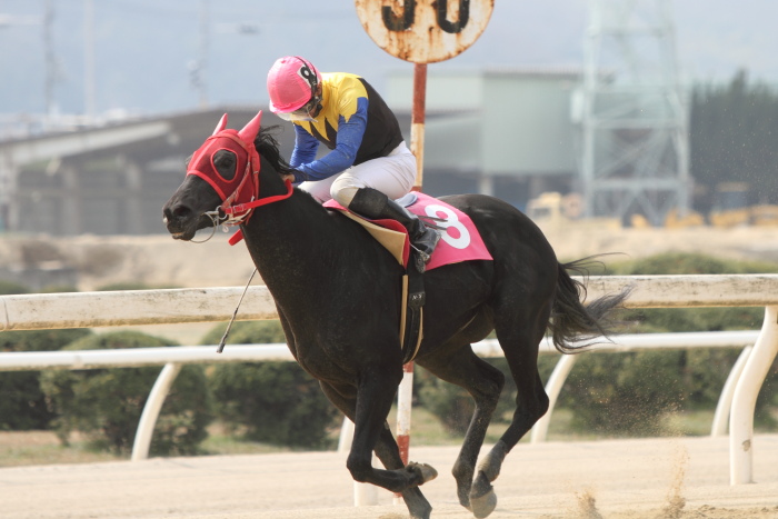 2013年3月24日(日) 福山競馬 8R ありがとう福山けいば開業獣医師会記念 B3B3二_a0077663_14353924.jpg