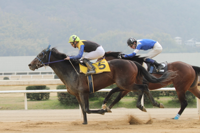 2013年3月24日（日） 福山競馬 10R ありがとう福山けいば広島県調騎会記念 A3A三B1一_a0077663_1545864.jpg