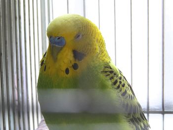 f0196665_8443926.jpg