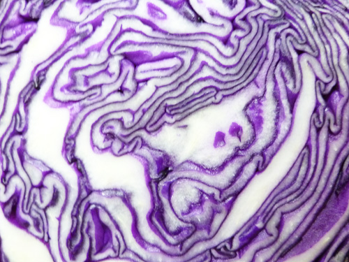 赤キャベツ_c0152767_21291059.jpg