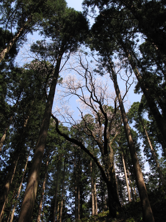 d0047885_06226.jpg