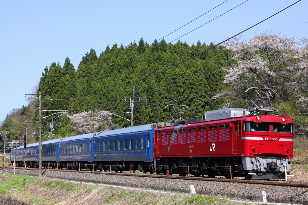 針生の桜が・・・｡･ﾟ･(ﾉ∀`)･ﾟ･｡_c0035094_15271896.jpg