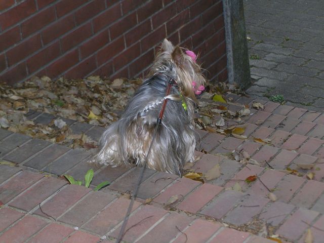 f0130894_2145473.jpg