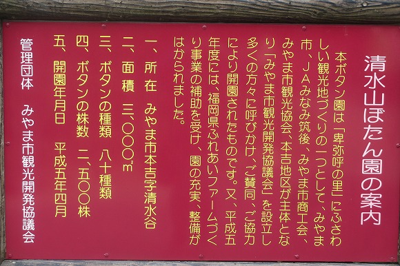 清水山のぼたん園（みやま市瀬高町）・千寿の楽しい歴史_a0137997_1447069.jpg