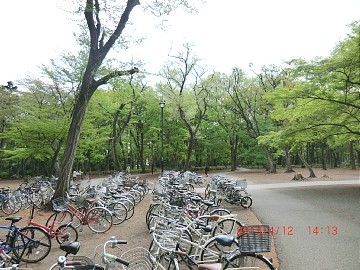d0051601_2322163.jpg