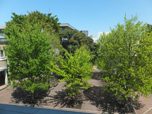 f0120102_17151697.jpg