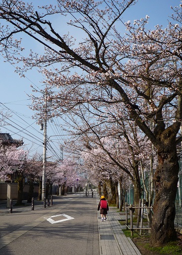 a0157303_2183661.jpg