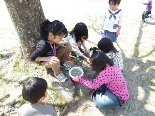 なかよしポッケ　お花見_f0223705_11224141.jpg