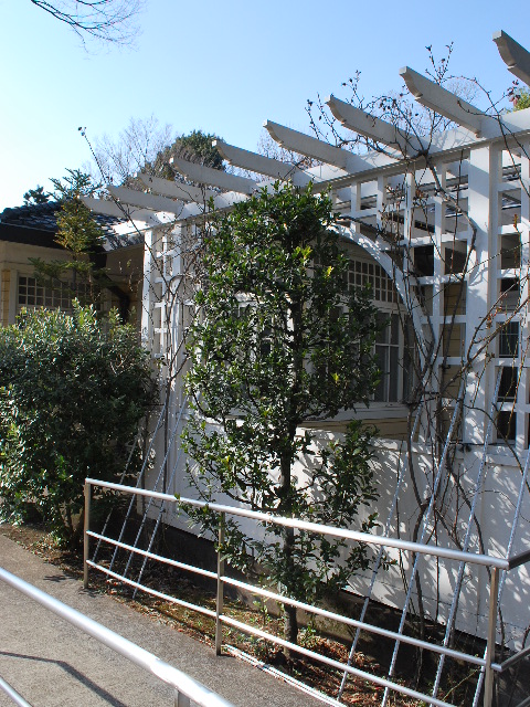 江戸東京たてもの園、田園調布の家・旧大川邸(大正モダン邸宅探訪)_f0142606_1841148.jpg