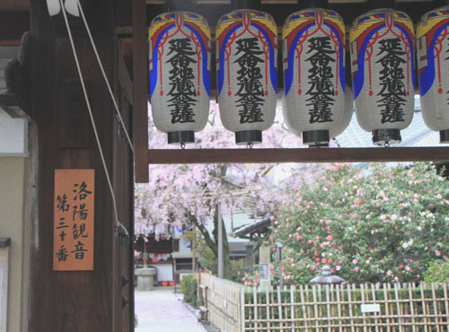 椿寺--地蔵院_e0048413_1716190.jpg