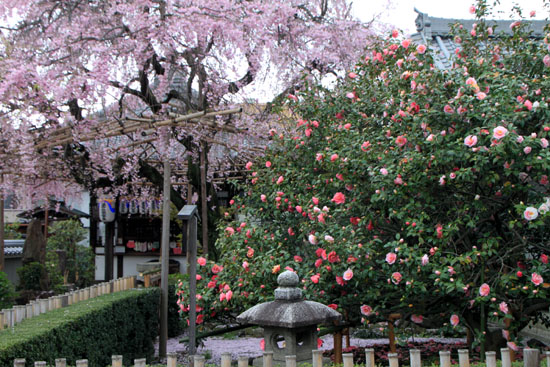 椿寺--地蔵院_e0048413_17161917.jpg