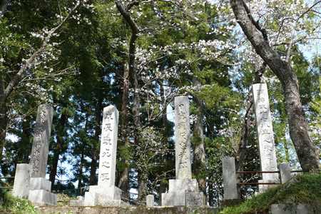 まちなか桜紀行 ☆ 神明社と見晴らし花壇 の巻_e0097615_19352880.jpg