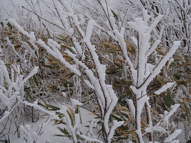 c0141223_1840376.jpg