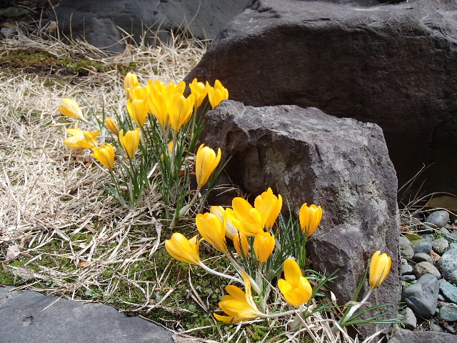 c0141223_1842199.jpg