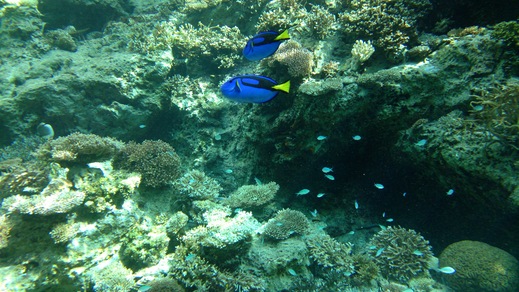 b0001324_22573734.jpg