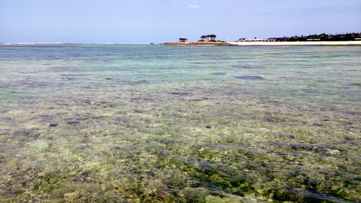 b0001324_22593415.jpg