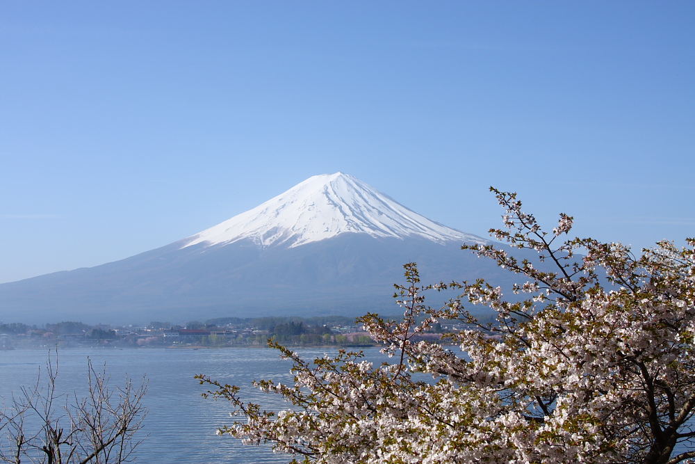 河口湖と桜_c0208924_22252450.jpg