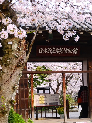 タイムスリップ ~服部緑地公園(豊中)~_c0235725_1227433.jpg