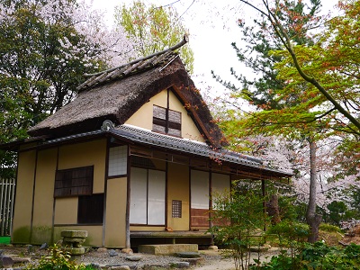 タイムスリップ ~服部緑地公園(豊中)~_c0235725_12582498.jpg