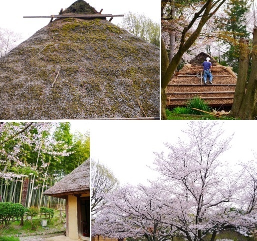 タイムスリップ ~服部緑地公園(豊中)~_c0235725_1311429.jpg