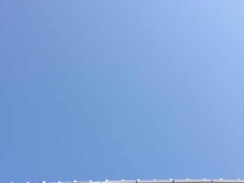 c0118926_942712.jpg