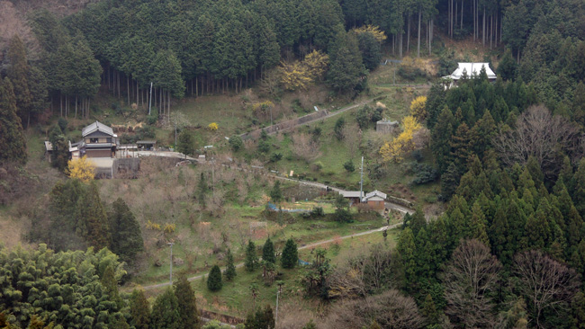 五條市西吉野-花の里_a0216227_17402117.jpg