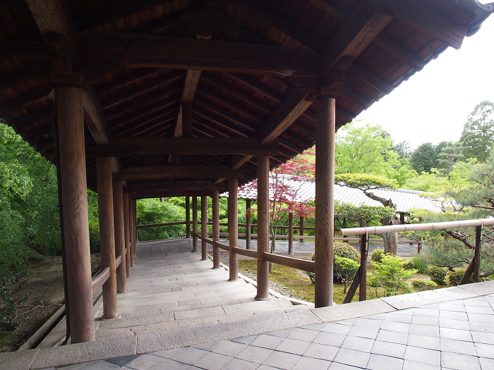 新緑の東福寺 －通天橋－_b0169330_18162822.jpg