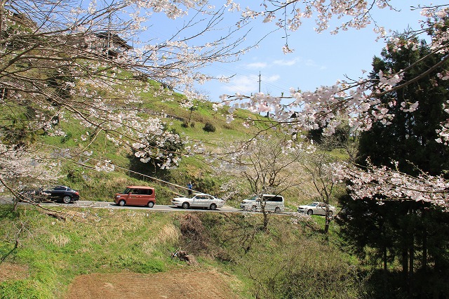 a0045932_1947524.jpg