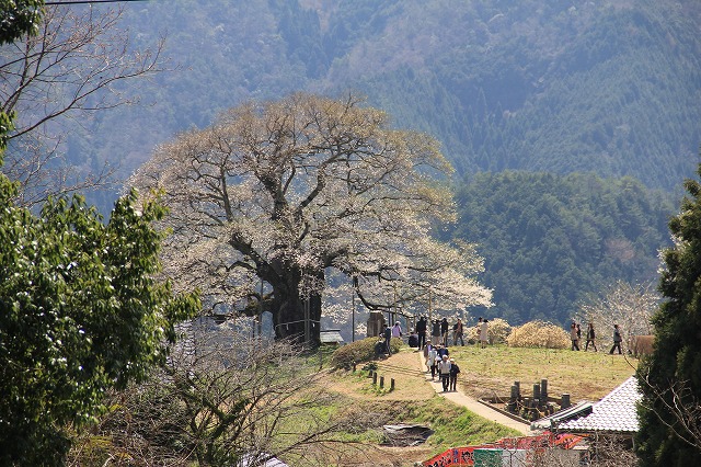 a0045932_2014670.jpg