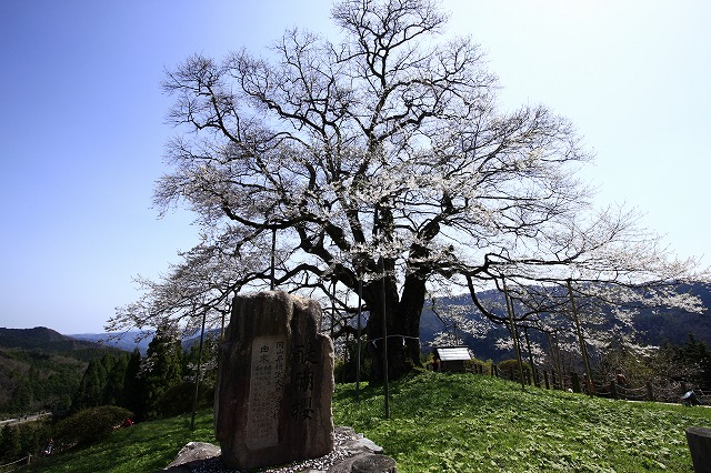 a0045932_204462.jpg