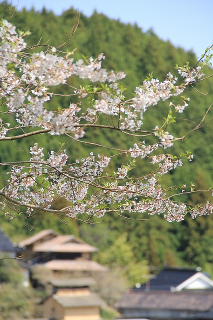 a0045932_205421.jpg