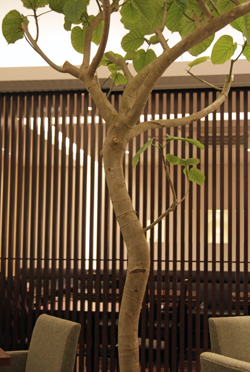 「紅鶴」新店_d0090733_21311392.jpg