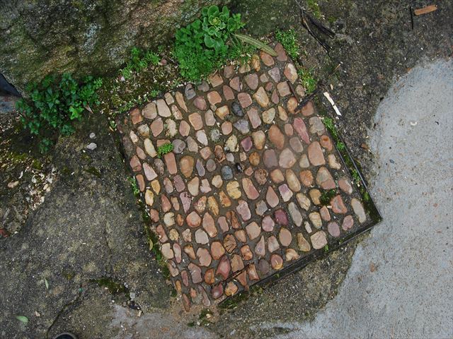 e0120938_12432.jpg
