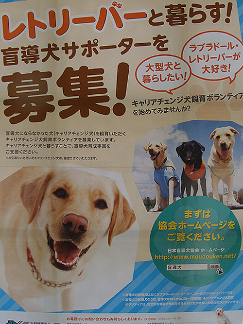 キャリアチェンジ犬 飼育ボランティア カフェエカーネ おいしい毎日