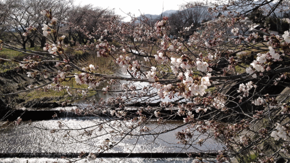 f0056038_2325479.gif