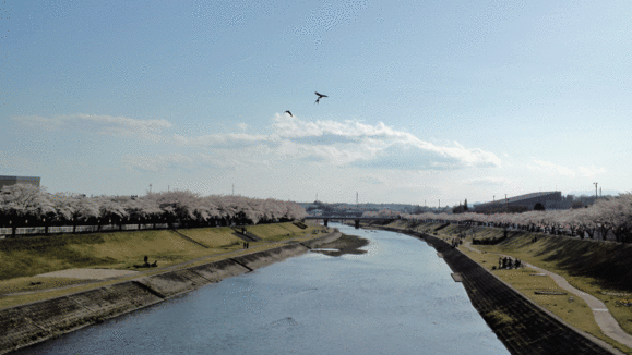 f0056038_23314457.gif