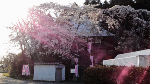 f0056038_2337429.gif