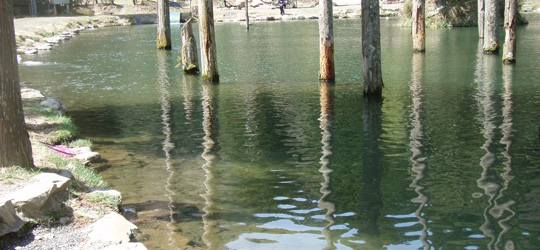 b0169939_1751382.jpg