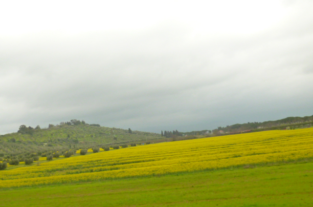 d0170140_3295196.jpg