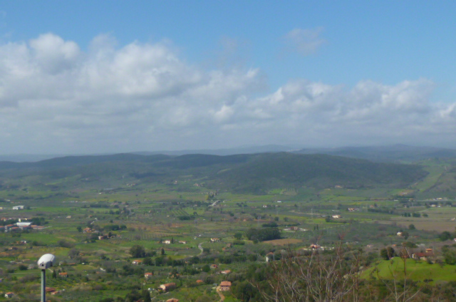 d0170140_3344612.jpg