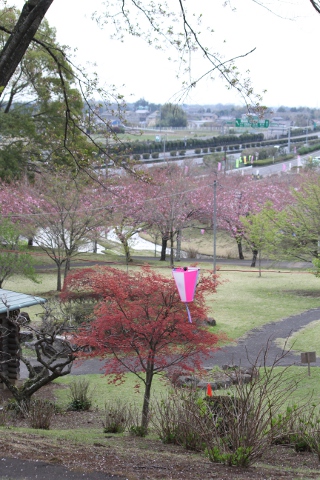 栃木市 つがの里_e0227942_2245566.jpg