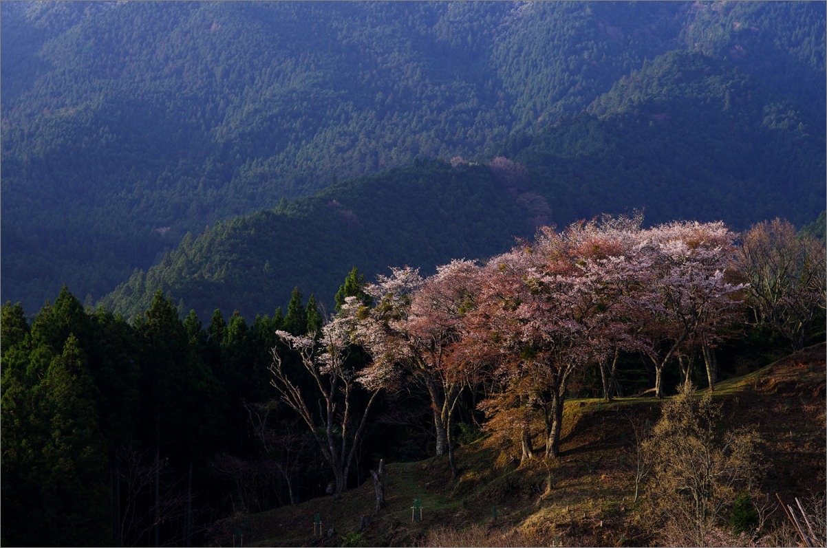d0058445_1823365.jpg