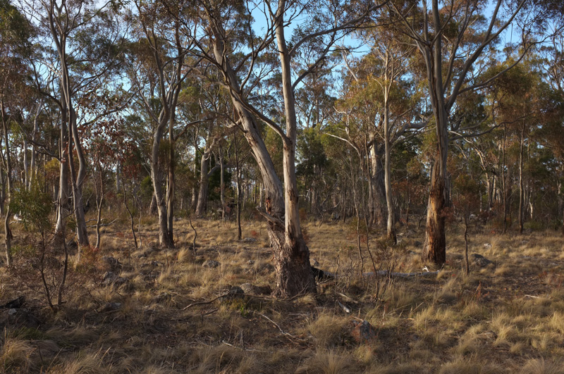 f0137354_16343821.jpg