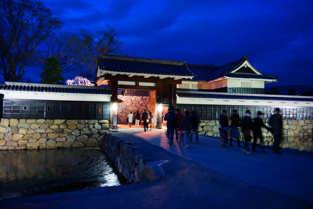 night viewing 2(長野県松本市　松本城・夜桜 2）_e0223456_21464797.jpg