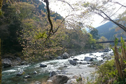 b0126658_1420260.jpg