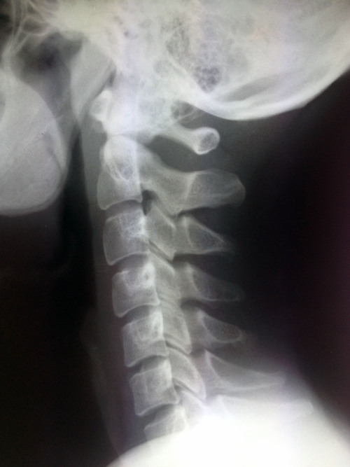 c0198263_0153.jpg