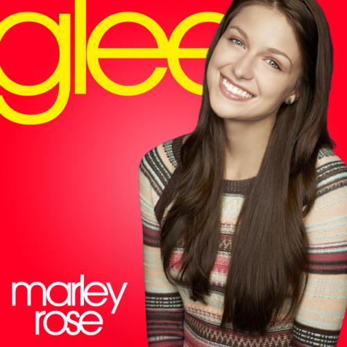 glee シーズン４の話_e0284671_17295221.png