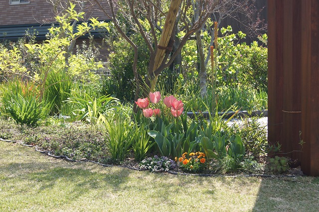 e0181373_2295199.jpg