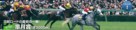 皐月賞はエピファネイアが勝つ!_d0183174_16255165.jpg