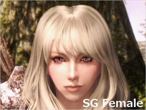 PC SKYRIM 新・使用中MOD その1 美顔(美化)編 : Beautiful Ones -blog-